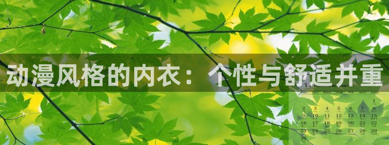 天堂动漫网官网：动漫风格的内衣：个性与舒适并重